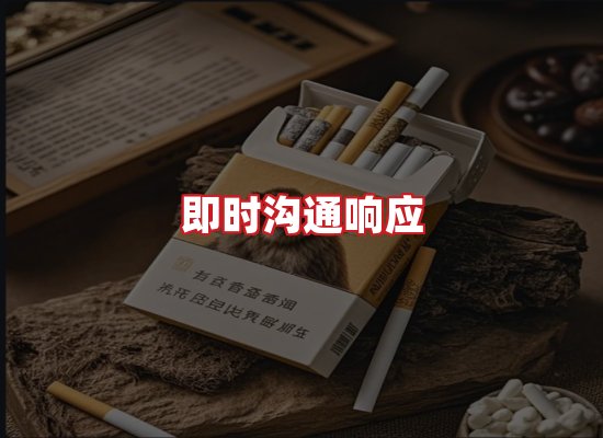 专业团队